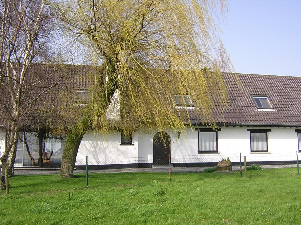 The Cosy Hill Pensionat Poperinge Eksteriør billede