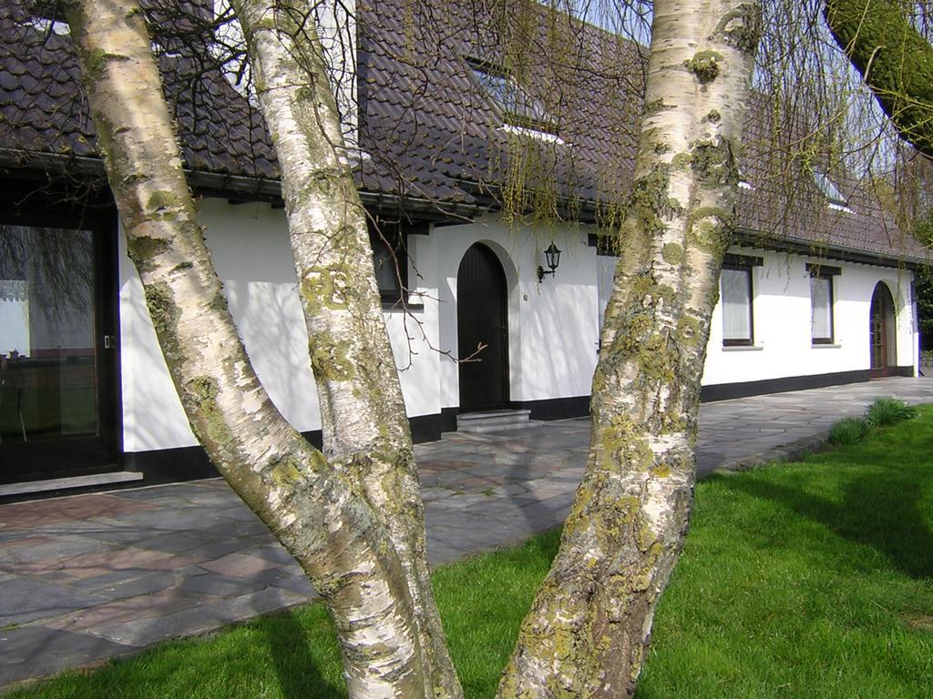 The Cosy Hill Pensionat Poperinge Eksteriør billede